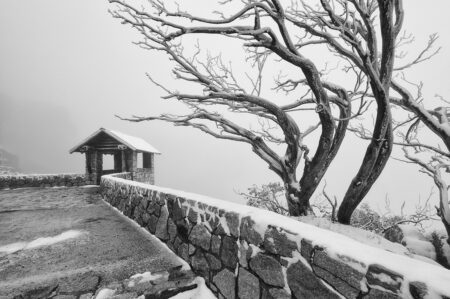 Mt. Buffalo ~VIC