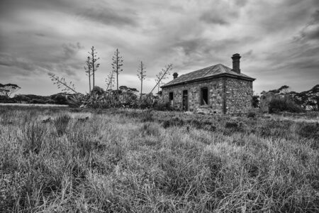 Homestead Ruins ~ SA