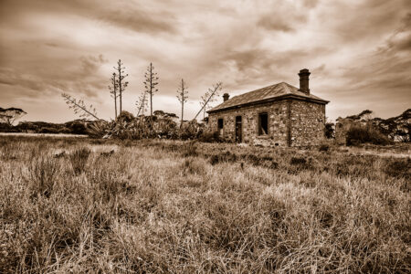 Homestead Ruins ~ SA