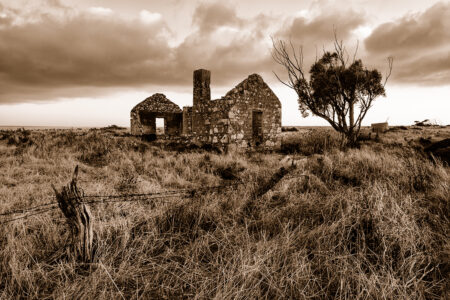 Homestead Ruins ~ SA