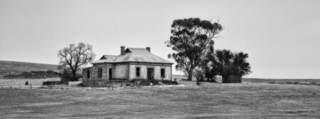 Homestead Ruins ~ SA