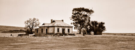 Homestead Ruins ~ SA