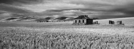 Homestead Ruins ~ SA