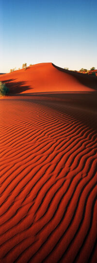 Deserts Dunes ~ SA