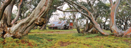 Wallace's Hut ~ VIC