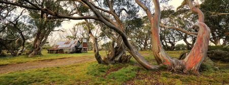 Wallace's Hut ~ VIC