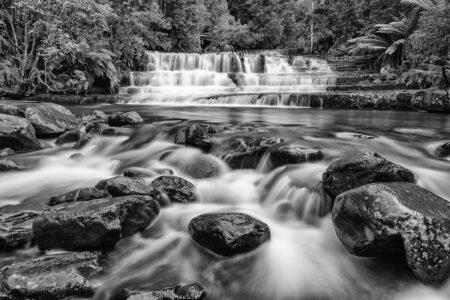 Lower Liffey Falls ~ TAS