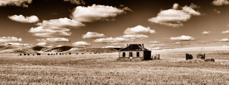 Homestead Ruins ~ SA