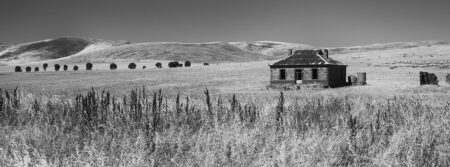 Homestead Ruins ~ SA