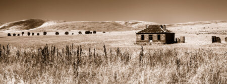 Homestead Ruins ~ SA