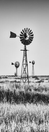 Windmills ~ Outback ~ SA