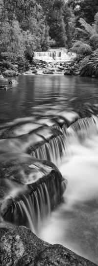 Lower Liffey Falls ~ TAS