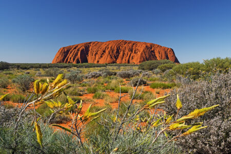 Uluru ~ NT