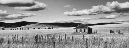 Homestead Ruins ~ SA