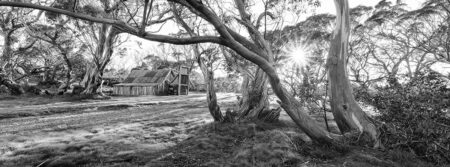 Wallace's Hut ~ VIC