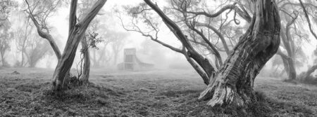 Wallace's Hut ~ VIC