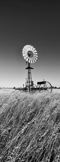 Windmill ~ SA