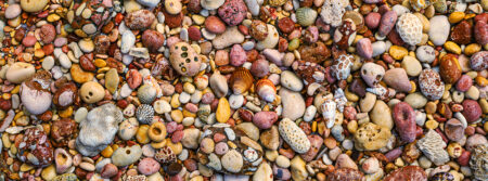 Pebbles and Shells ~ WA