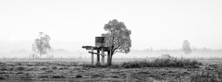 water tank and tree