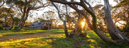 Wallace's Hut ~ VIC