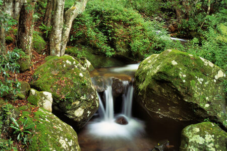 X150 Small Falls - Budderoo National Park ~ NSW